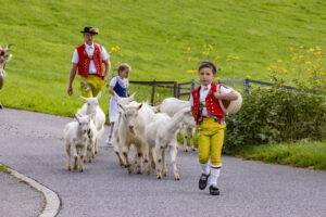 Appenzell, Appenzell Ausserrohden, Bühler, Ostschweiz, Schweiz, Suisse, Switzerland, Tier, Tracht, Viehschau, tradition