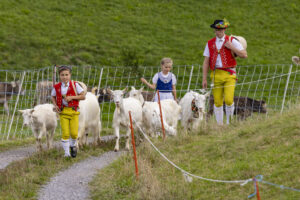 Appenzell, Appenzell Ausserrohden, Bühler, Ostschweiz, Schweiz, Suisse, Switzerland, Tier, Tracht, Viehschau, tradition