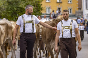 Appenzell, Appenzell Ausserrohden, Bühler, Ostschweiz, Schweiz, Suisse, Switzerland, Tracht, Viehschau, tradition