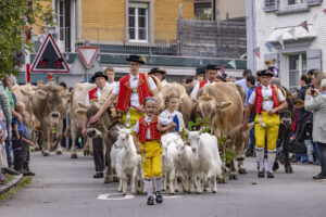 Appenzell, Appenzell Ausserrohden, Bühler, Ostschweiz, Schweiz, Suisse, Switzerland, Tracht, Viehschau, tradition
