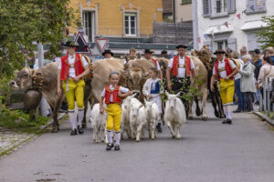 Appenzell, Appenzell Ausserrohden, Bühler, Ostschweiz, Schweiz, Suisse, Switzerland, Tracht, Viehschau, tradition