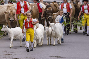 Appenzell, Appenzell Ausserrohden, Bühler, Ostschweiz, Schweiz, Suisse, Switzerland, Tracht, Viehschau, tradition
