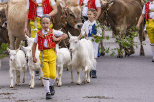 Appenzell, Appenzell Ausserrohden, Bühler, Ostschweiz, Schweiz, Suisse, Switzerland, Tracht, Viehschau, tradition