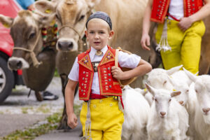 Appenzell, Appenzell Ausserrohden, Bühler, Ostschweiz, Schweiz, Suisse, Switzerland, Tracht, Viehschau, tradition