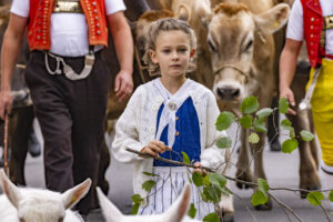 Appenzell, Appenzell Ausserrohden, Bühler, Ostschweiz, Schweiz, Suisse, Switzerland, Tracht, Viehschau, tradition