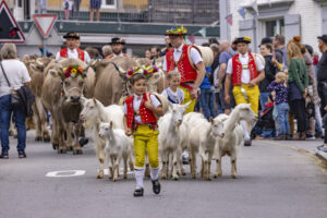 Appenzell, Appenzell Ausserrohden, Bühler, Ostschweiz, Schweiz, Suisse, Switzerland, Tier, Tracht, Viehschau, tradition