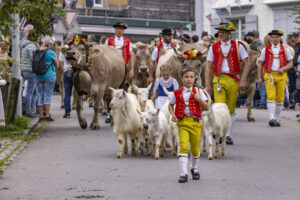 Appenzell, Appenzell Ausserrohden, Bühler, Ostschweiz, Schweiz, Suisse, Switzerland, Tier, Tracht, Viehschau, tradition