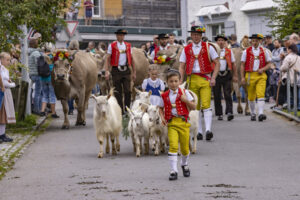 Appenzell, Appenzell Ausserrohden, Bühler, Ostschweiz, Schweiz, Suisse, Switzerland, Tier, Tracht, Viehschau, tradition