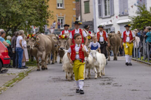 Appenzell, Appenzell Ausserrohden, Bühler, Ostschweiz, Schweiz, Suisse, Switzerland, Tier, Tracht, Viehschau, tradition