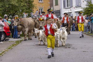 Appenzell, Appenzell Ausserrohden, Bühler, Ostschweiz, Schweiz, Suisse, Switzerland, Tier, Tracht, Viehschau, tradition