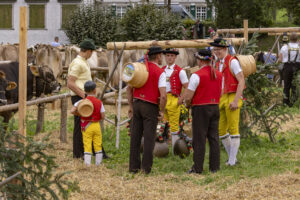 Appenzell, Appenzell Ausserrohden, Bühler, Ostschweiz, Schweiz, Suisse, Switzerland, Tracht, Viehschau, tradition
