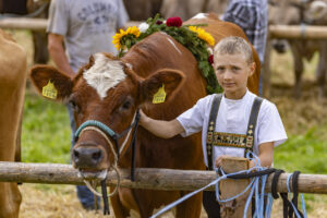 Appenzell, Appenzell Ausserrohden, Bühler, Ostschweiz, Schweiz, Suisse, Switzerland, Tracht, Viehschau, tradition