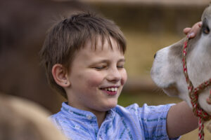 Appenzell, Appenzell Ausserrohden, Bühler, Ostschweiz, Schweiz, Suisse, Switzerland, Tracht, Viehschau, tradition