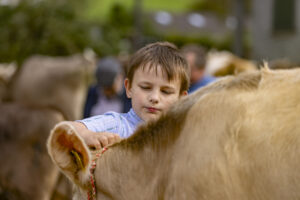 Appenzell, Appenzell Ausserrohden, Bühler, Ostschweiz, Schweiz, Suisse, Switzerland, Tracht, Viehschau, tradition