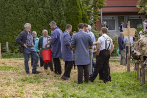 Appenzell, Appenzell Ausserrohden, Bühler, Ostschweiz, Schweiz, Suisse, Switzerland, Tracht, Viehschau, tradition
