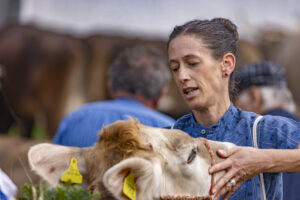 Appenzell, Appenzell Ausserrohden, Bühler, Ostschweiz, Schweiz, Suisse, Switzerland, Tracht, Viehschau, tradition