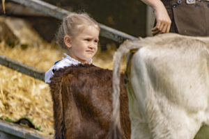 Appenzell, Appenzell Ausserrohden, Bühler, Ostschweiz, Schweiz, Suisse, Switzerland, Tracht, Viehschau, tradition
