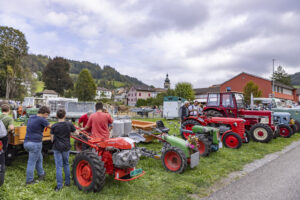 Appenzell, Appenzell Ausserrohden, Bühler, Ostschweiz, Schweiz, Suisse, Switzerland, Tracht, Viehschau, tradition