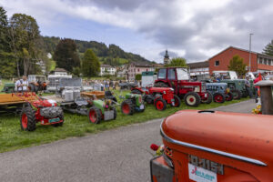 Appenzell, Appenzell Ausserrohden, Bühler, Ostschweiz, Schweiz, Suisse, Switzerland, Tracht, Viehschau, tradition