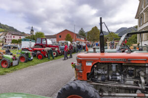 Appenzell, Appenzell Ausserrohden, Bühler, Ostschweiz, Schweiz, Suisse, Switzerland, Tracht, Viehschau, tradition