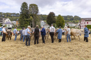 Appenzell, Appenzell Ausserrohden, Bühler, Ostschweiz, Schweiz, Suisse, Switzerland, Tracht, Viehschau, tradition