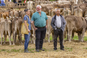Appenzell, Appenzell Ausserrohden, Bühler, Ostschweiz, Schweiz, Suisse, Switzerland, Tracht, Viehschau, tradition