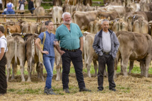 Appenzell, Appenzell Ausserrohden, Bühler, Ostschweiz, Schweiz, Suisse, Switzerland, Tracht, Viehschau, tradition