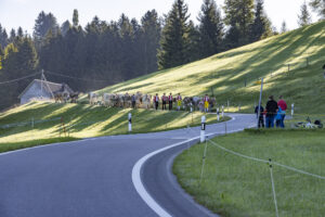 Appenzell, Appenzell Ausserrohden, Appenzeller Hinterland, Brauchtum, Landwirtschaft, Ostschweiz, Schweiz, Schönengrund, Sennen, Suisse, Switzerland, Tracht, Viehschau, Wirtschaft, tradition