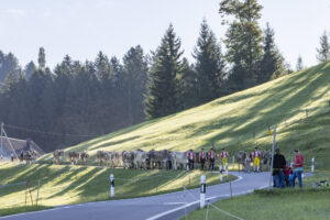 Appenzell, Appenzell Ausserrohden, Appenzeller Hinterland, Brauchtum, Landwirtschaft, Ostschweiz, Schweiz, Schönengrund, Sennen, Suisse, Switzerland, Tracht, Viehschau, Wirtschaft, tradition
