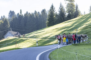 Appenzell, Appenzell Ausserrohden, Appenzeller Hinterland, Brauchtum, Landwirtschaft, Ostschweiz, Schweiz, Schönengrund, Sennen, Suisse, Switzerland, Tracht, Viehschau, Wirtschaft, tradition