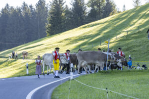 Appenzell, Appenzell Ausserrohden, Appenzeller Hinterland, Brauchtum, Landwirtschaft, Ostschweiz, Schweiz, Schönengrund, Sennen, Suisse, Switzerland, Tracht, Viehschau, Wirtschaft, tradition