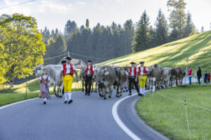 Appenzell, Appenzell Ausserrohden, Appenzeller Hinterland, Brauchtum, Landwirtschaft, Ostschweiz, Schweiz, Schönengrund, Sennen, Suisse, Switzerland, Tracht, Viehschau, Wirtschaft, tradition