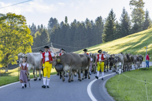Appenzell, Appenzell Ausserrohden, Appenzeller Hinterland, Brauchtum, Landwirtschaft, Ostschweiz, Schweiz, Schönengrund, Sennen, Suisse, Switzerland, Tracht, Viehschau, Wirtschaft, tradition