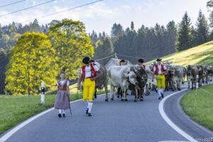 Appenzell, Appenzell Ausserrohden, Appenzeller Hinterland, Brauchtum, Landwirtschaft, Ostschweiz, Schweiz, Schönengrund, Sennen, Suisse, Switzerland, Tracht, Viehschau, Wirtschaft, tradition