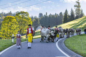 Appenzell, Appenzell Ausserrohden, Appenzeller Hinterland, Brauchtum, Landwirtschaft, Ostschweiz, Schweiz, Schönengrund, Sennen, Suisse, Switzerland, Tracht, Viehschau, Wirtschaft, tradition