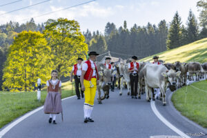 Appenzell, Appenzell Ausserrohden, Appenzeller Hinterland, Brauchtum, Landwirtschaft, Ostschweiz, Schweiz, Schönengrund, Sennen, Suisse, Switzerland, Tracht, Viehschau, Wirtschaft, tradition