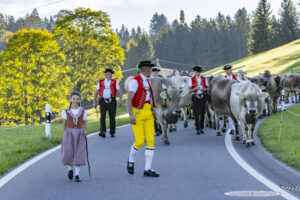Appenzell, Appenzell Ausserrohden, Appenzeller Hinterland, Brauchtum, Landwirtschaft, Ostschweiz, Schweiz, Schönengrund, Sennen, Suisse, Switzerland, Tracht, Viehschau, Wirtschaft, tradition