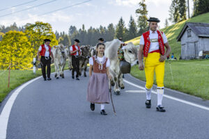 Appenzell, Appenzell Ausserrohden, Appenzeller Hinterland, Brauchtum, Landwirtschaft, Ostschweiz, Schweiz, Schönengrund, Sennen, Suisse, Switzerland, Tracht, Viehschau, Wirtschaft, tradition