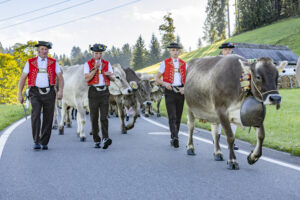 Appenzell, Appenzell Ausserrohden, Appenzeller Hinterland, Brauchtum, Landwirtschaft, Ostschweiz, Schweiz, Schönengrund, Sennen, Suisse, Switzerland, Tracht, Viehschau, Wirtschaft, tradition