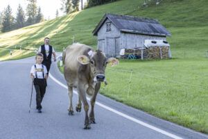 Appenzell, Appenzell Ausserrohden, Appenzeller Hinterland, Brauchtum, Landwirtschaft, Ostschweiz, Schweiz, Schönengrund, Sennen, Suisse, Switzerland, Tracht, Viehschau, Wirtschaft, tradition