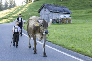 Appenzell, Appenzell Ausserrohden, Appenzeller Hinterland, Brauchtum, Landwirtschaft, Ostschweiz, Schweiz, Schönengrund, Sennen, Suisse, Switzerland, Tracht, Viehschau, Wirtschaft, tradition