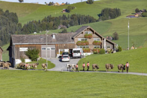 Appenzell, Appenzell Ausserrohden, Appenzeller Hinterland, Brauchtum, Landwirtschaft, Ostschweiz, Schweiz, Schönengrund, Sennen, Suisse, Switzerland, Tracht, Viehschau, Wirtschaft, tradition