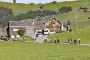 Appenzell, Appenzell Ausserrohden, Appenzeller Hinterland, Brauchtum, Landwirtschaft, Ostschweiz, Schweiz, Schönengrund, Sennen, Suisse, Switzerland, Tracht, Viehschau, Wirtschaft, tradition