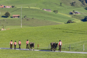 Appenzell, Appenzell Ausserrohden, Appenzeller Hinterland, Brauchtum, Landwirtschaft, Ostschweiz, Schweiz, Schönengrund, Sennen, Suisse, Switzerland, Tracht, Viehschau, Wirtschaft, tradition