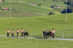Appenzell, Appenzell Ausserrohden, Appenzeller Hinterland, Brauchtum, Landwirtschaft, Ostschweiz, Schweiz, Schönengrund, Sennen, Suisse, Switzerland, Tracht, Viehschau, Wirtschaft, tradition