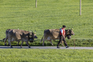Appenzell, Appenzell Ausserrohden, Appenzeller Hinterland, Brauchtum, Landwirtschaft, Ostschweiz, Schweiz, Schönengrund, Sennen, Suisse, Switzerland, Tracht, Viehschau, Wirtschaft, tradition
