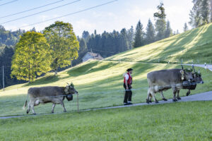 Appenzell, Appenzell Ausserrohden, Appenzeller Hinterland, Brauchtum, Landwirtschaft, Ostschweiz, Schweiz, Schönengrund, Sennen, Suisse, Switzerland, Tracht, Viehschau, Wirtschaft, tradition