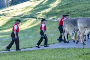 Appenzell, Appenzell Ausserrohden, Appenzeller Hinterland, Brauchtum, Landwirtschaft, Ostschweiz, Schweiz, Schönengrund, Sennen, Suisse, Switzerland, Tracht, Viehschau, Wirtschaft, tradition