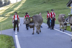 Appenzell, Appenzell Ausserrohden, Appenzeller Hinterland, Brauchtum, Landwirtschaft, Ostschweiz, Schweiz, Schönengrund, Sennen, Suisse, Switzerland, Tracht, Viehschau, Wirtschaft, tradition