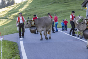 Appenzell, Appenzell Ausserrohden, Appenzeller Hinterland, Brauchtum, Landwirtschaft, Ostschweiz, Schweiz, Schönengrund, Sennen, Suisse, Switzerland, Tracht, Viehschau, Wirtschaft, tradition